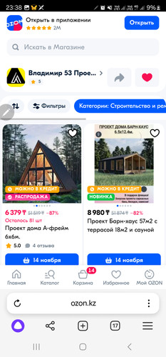 Screenshot 20241031 233806 Browser.jpg