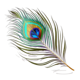 54c289ea4e6651928d209803949fc4ed