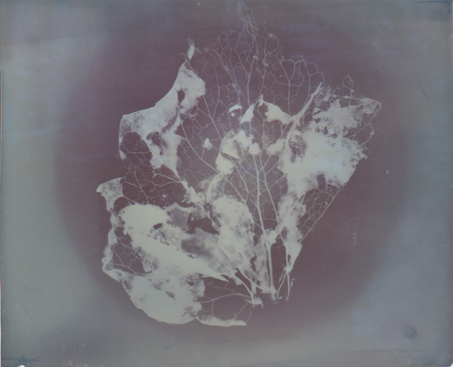 Scanner 20241012 (6)