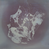 Scanner 20241012 (6)