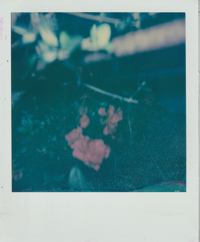 Scanner 20241012 (35)