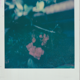 Scanner 20241012 (35)