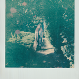 Scanner 20241012 (31)