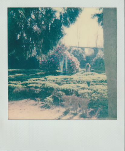 Scanner 20241012 (33)