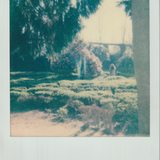 Scanner 20241012 (33)