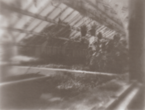 Scanner 20241012 (13)