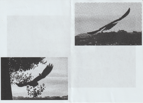 Scanner 20241012 (48)