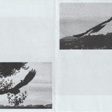 Scanner 20241012 (48)