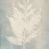 Scanner 20241012 (28)