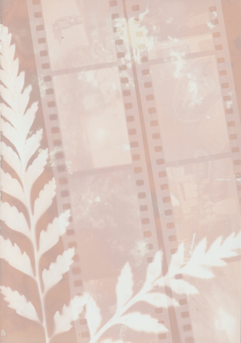 Scanner 20241012 (55)