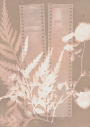 Scanner 20241012 (54)