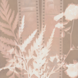 Scanner 20241012 (54)