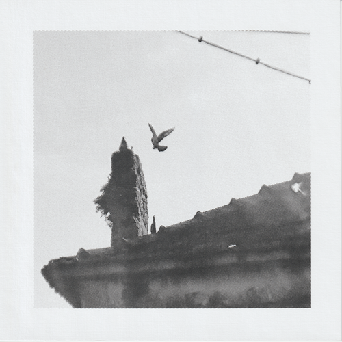 Scanner 20241012 (62)