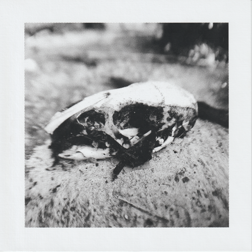 Scanner 20241012 (63)