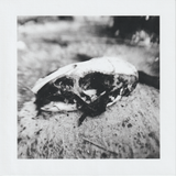 Scanner 20241012 (63)