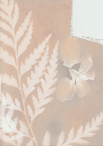 Scanner 20241012 (56)