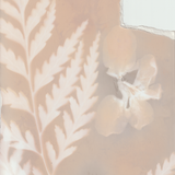 Scanner 20241012 (56)