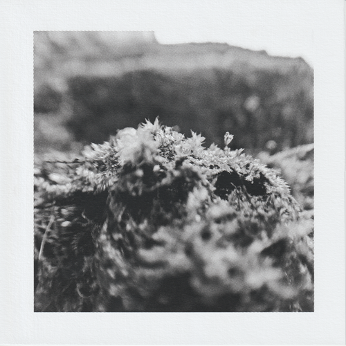 Scanner 20241012 (64)