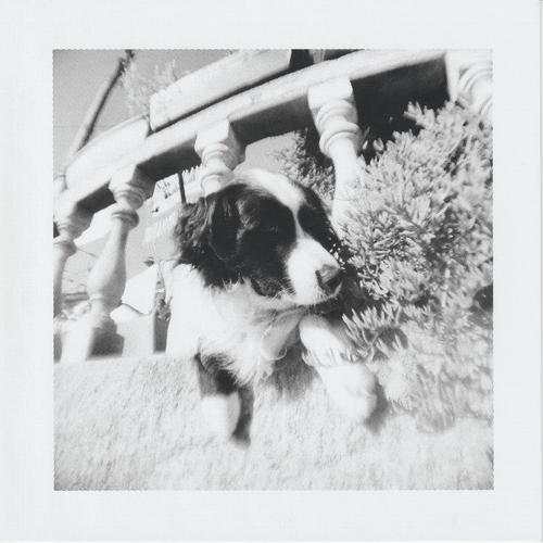 Scanner 20241012 (69)