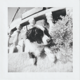 Scanner 20241012 (69)