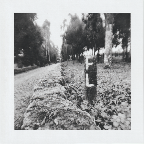 Scanner 20241012 (66)