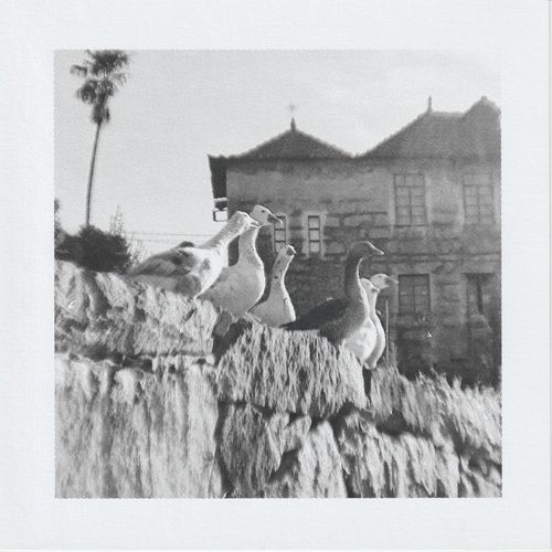 Scanner 20241012 (70)