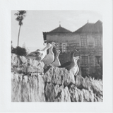 Scanner 20241012 (70)