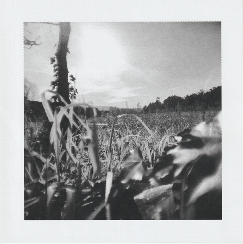 Scanner 20241012 (78).png