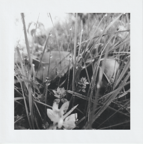 Scanner 20241012 (74)