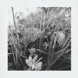 Scanner 20241012 (74)