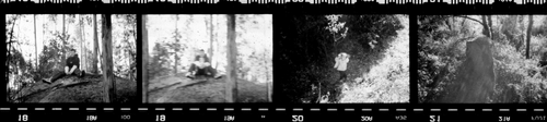 Scanner 20241013 (3)