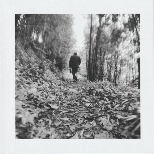 Scanner 20241012 (76).png