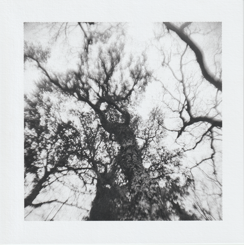 Scanner 20241012 (77).png