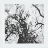 Scanner 20241012 (77)