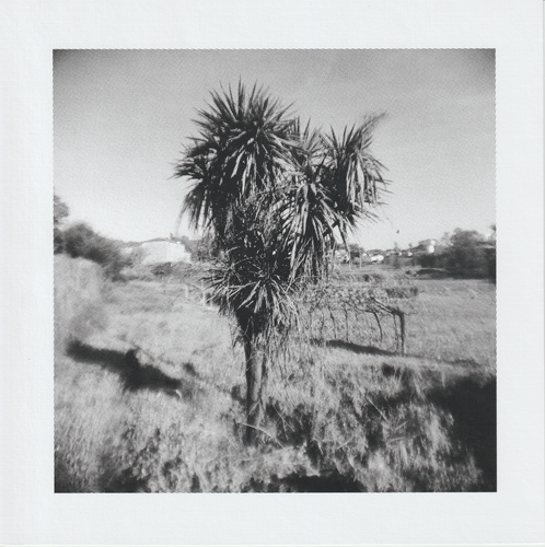 Scanner 20241012 (79).png