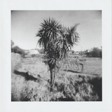 Scanner 20241012 (79)