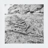 Scanner 20241012 (80)