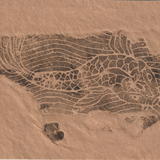 Scanner 20241012 (23)