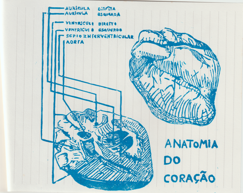 Scanner 20241012 (20)