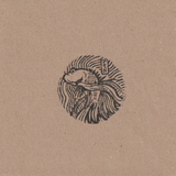 Scanner 20241012 (26)