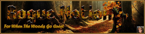 QWoods Banner.jpg