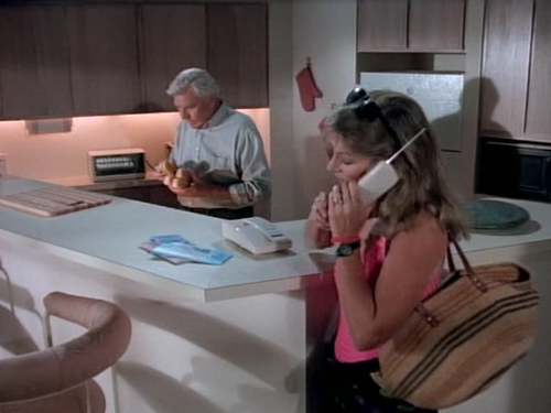cap Matlock S07E01 The Vacation 00 14 39 03.png