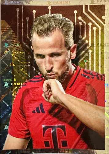 194.jpg