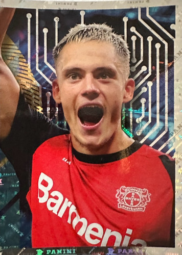 176.jpg