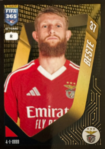 313.jpg