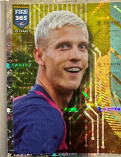 354.jpg