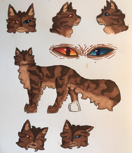 65C5C4C1 A8B6 4964 AC0B B690DAC287C0