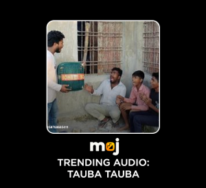 tauba.png
