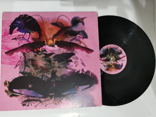 IMG 20241102 161816.jpg