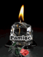 170x226 Pamiec.gif